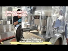 ZP17B cubo di pollo effervescente compressa compressa macchina di stampa