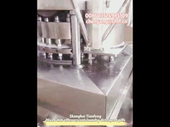 ZPW19 pressa per compresse per lavastoviglie bicolore, macchina per la produzione di compresse effervescenti a 2 strati