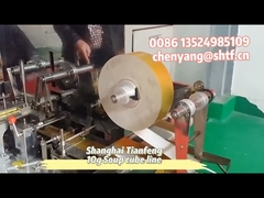 ZP15B ZP17B Macchina per pressatura rotativa di compresse con punzone da 42 mm per cubetti di pollo