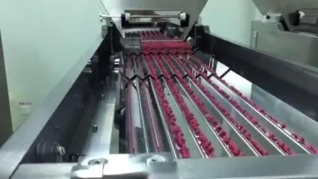 Linea di produzione ad alta velocità di 380V per riempimento di bottiglie farmaceutiche con garanzia di 1 anno per bottiglie da 60 ml a 80 ml a 100 ml