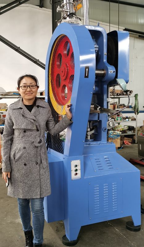 Macchina della stampa della compressa del canestro del fiore di serie di THP di tipo continuo